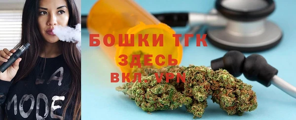 хмурый Абаза