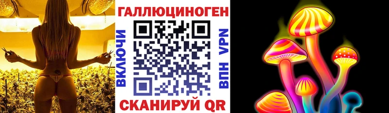 Галлюциногенные грибы Psilocybine cubensis купить сайты Анапа