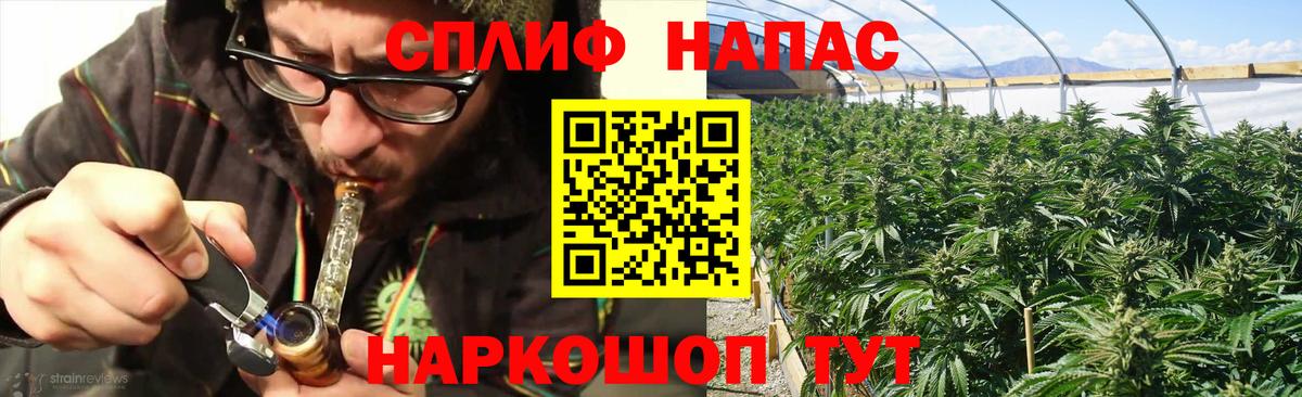 Шишки марихуана конопля Анапа
